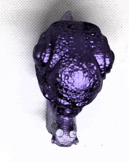 „Violetter Schneckenschädel“ – handgemacht, mystisch & außergewöhnlich 🐌💀✨