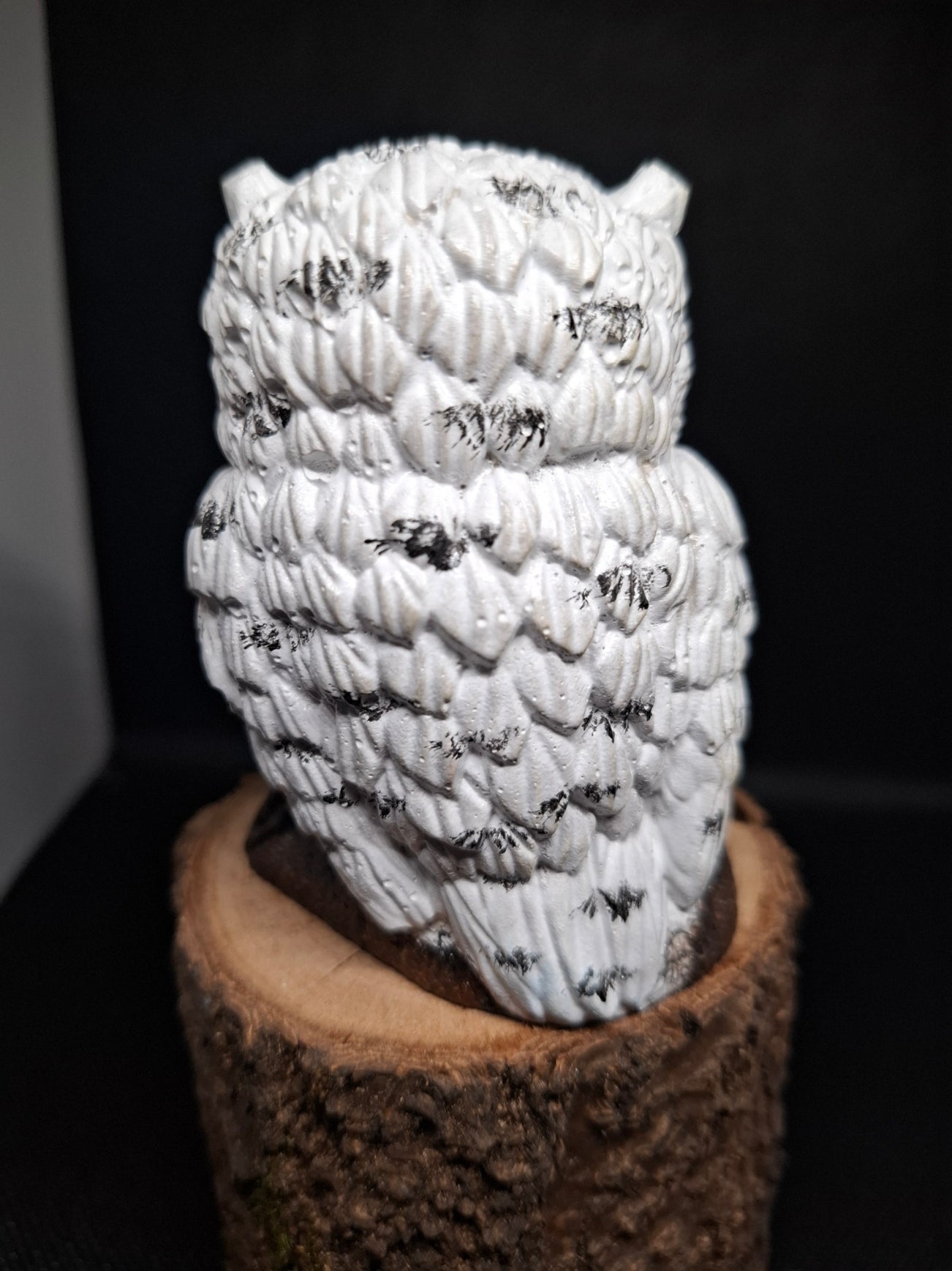 „Weiße Eule auf Ast“ 🌲