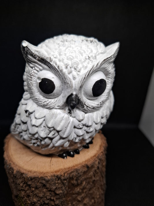 Eule der Stille – Handgefertigte Betonfigur
