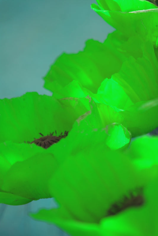 „Leuchtende Traumblüten in Grün“ – Digitaler Kunstdruck zum Download 🌿💫🌸